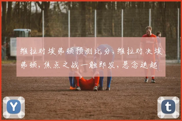 维拉对埃弗顿预测比分,维拉对决埃弗顿,焦点之战一触即发,悬念迭起
